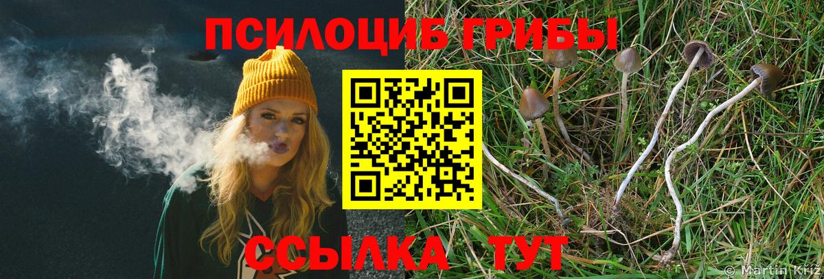 Галлюциногенные грибы ЛСД  Псилоцибиновые грибы Magic Shrooms  Вход с VPN  Саров 