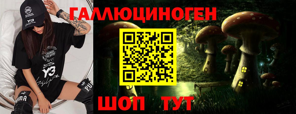 Галлюциногенные грибы Cubensis Саров